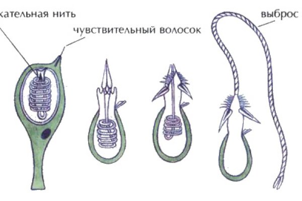 Значок кракена маркетплейса